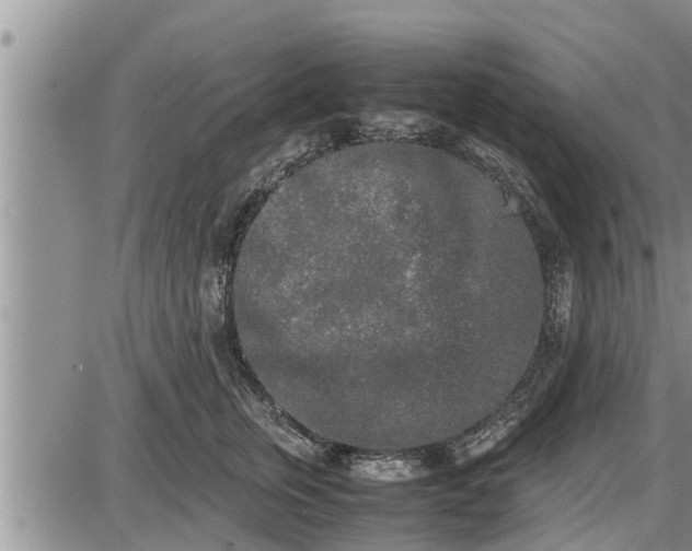 X0000085250759200703231649