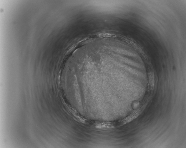 X0000085250761200703231649