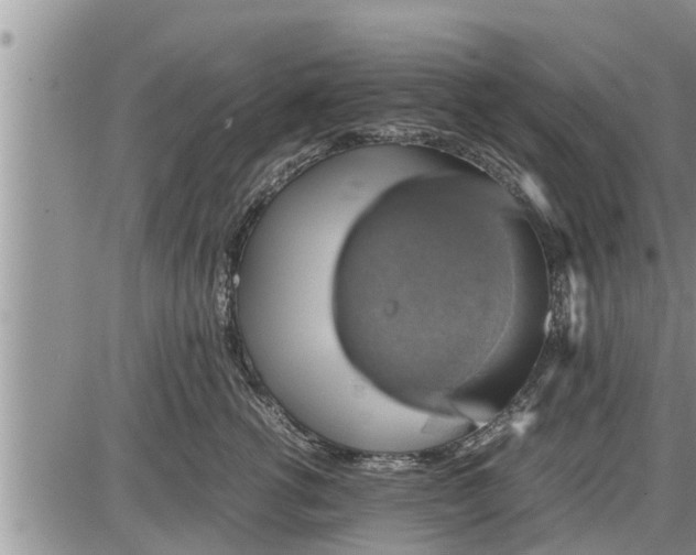 X0000085250762200703231649