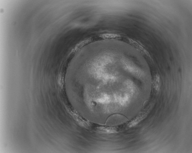 X0000085250763200703231649