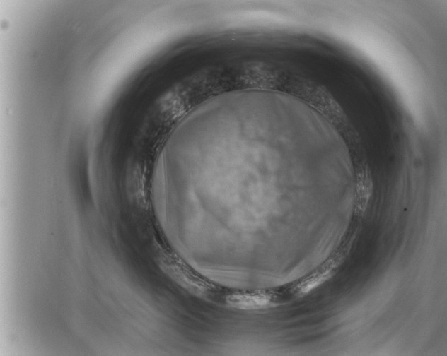 X0000085250765200703231650