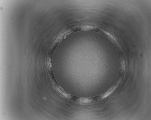 X0000085250766200703231650