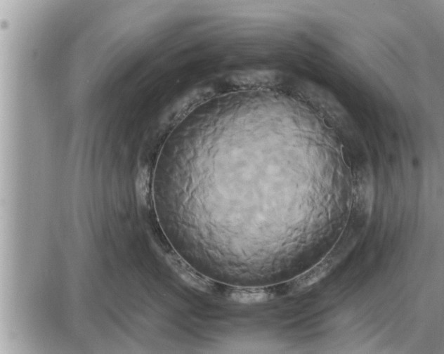 X0000085250767200703231650