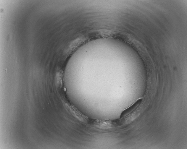 X0000085250768200703231650