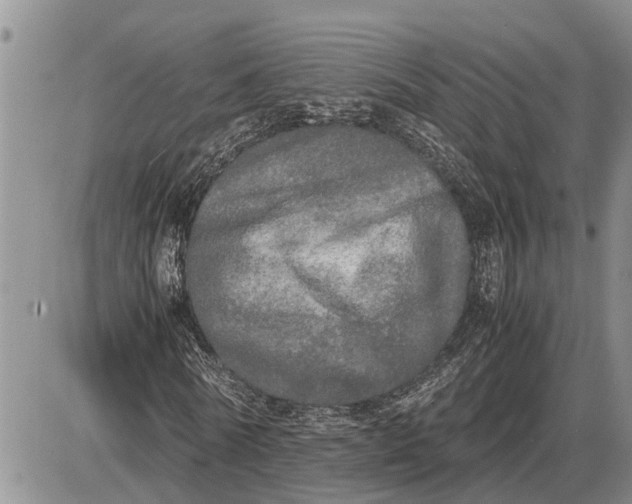 X0000085250770200703231649