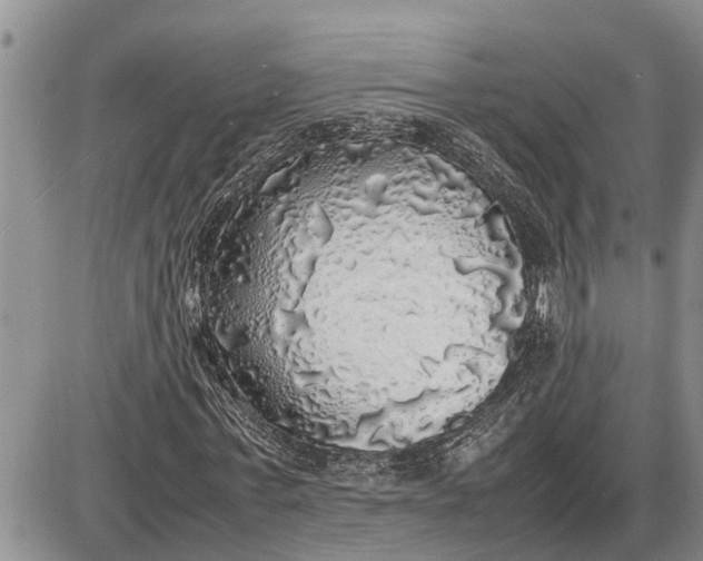 X0000085250771200703231649