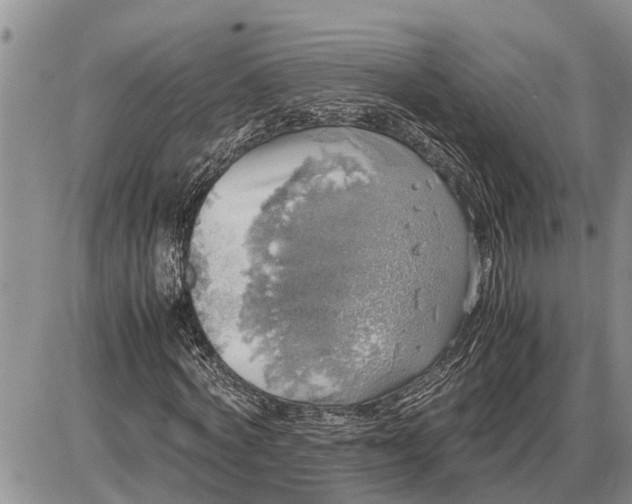 X0000085250772200703231649