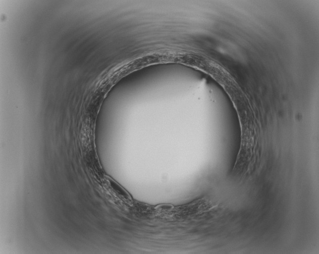 X0000085250773200703231649