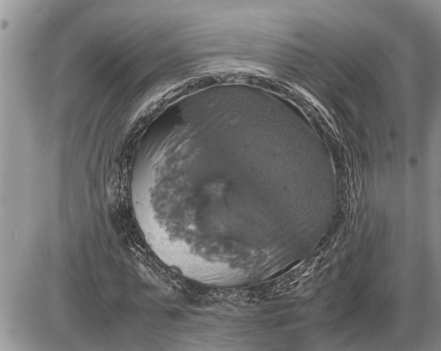 X0000085250775200703231649