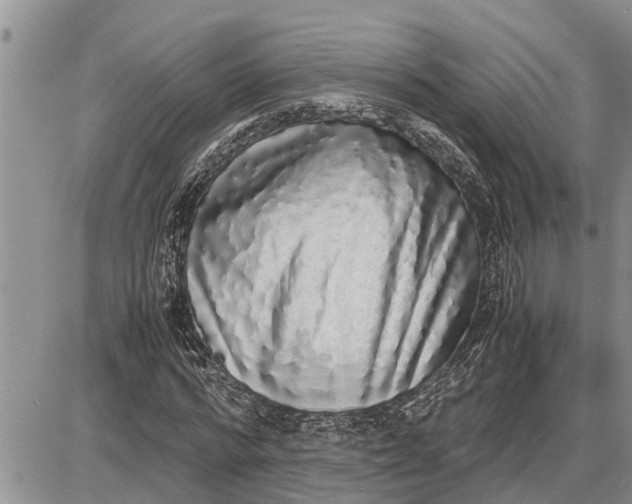 X0000085250776200703231649