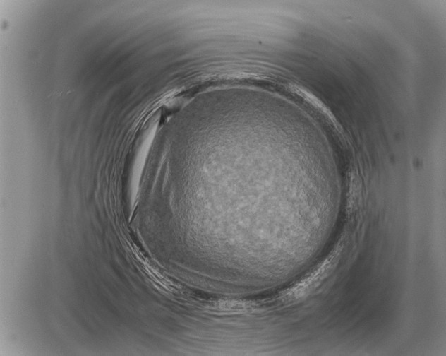 X0000085250777200703231649