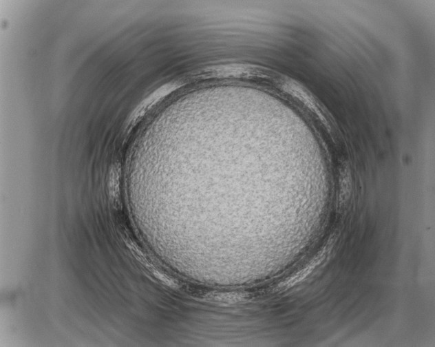 X0000085250778200703231649