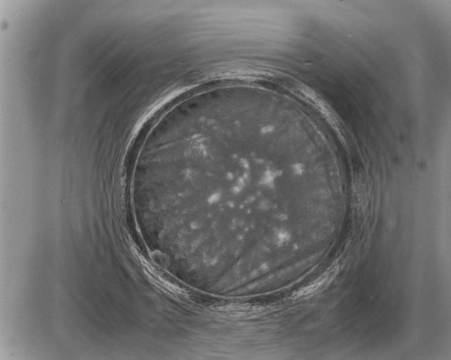 X0000085250779200703231649