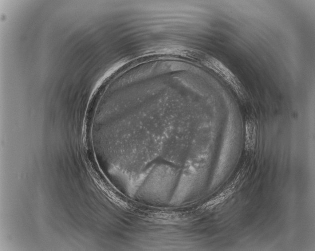 X0000085250780200703231649