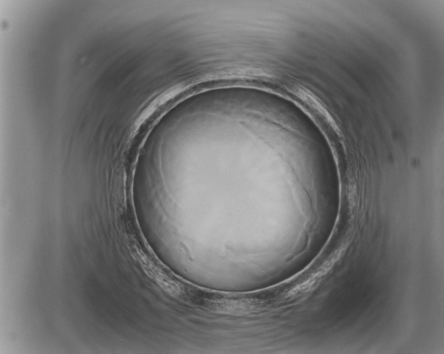 X0000085250781200703231649