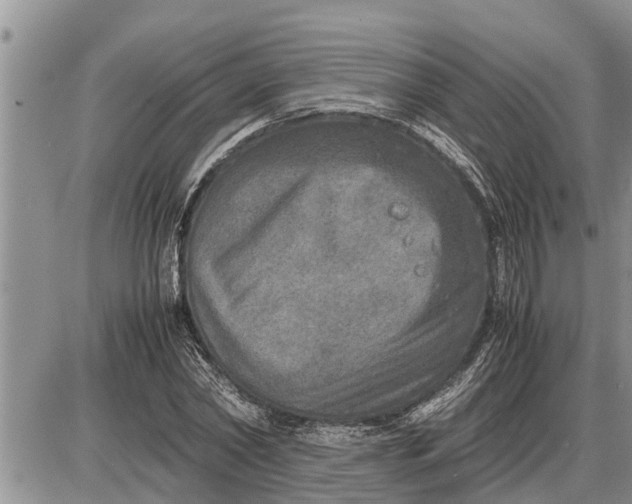 X0000085250782200703231649