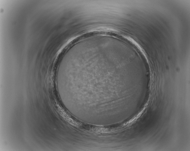 X0000085250783200703231649