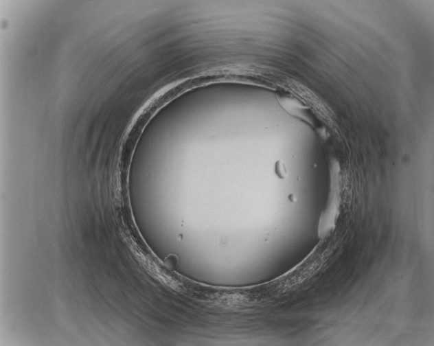 X0000085250784200703231649