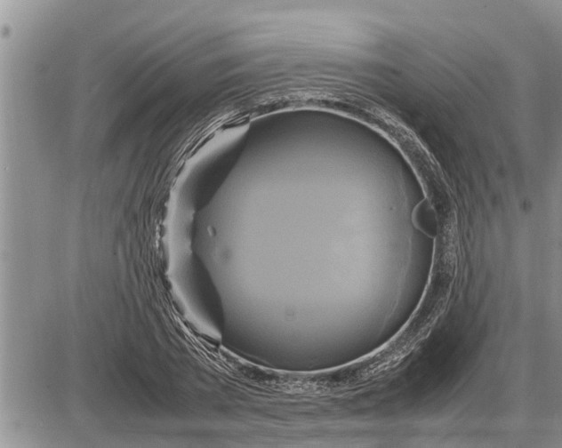 X0000085250785200703231648