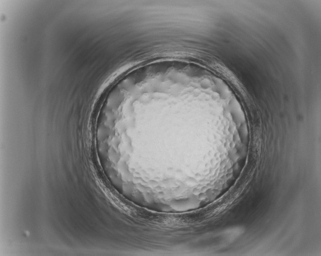 X0000085250787200703231648