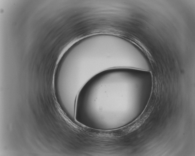 X0000085250788200703231648