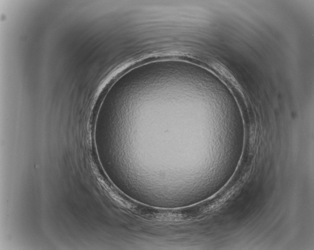 X0000085250789200703231648