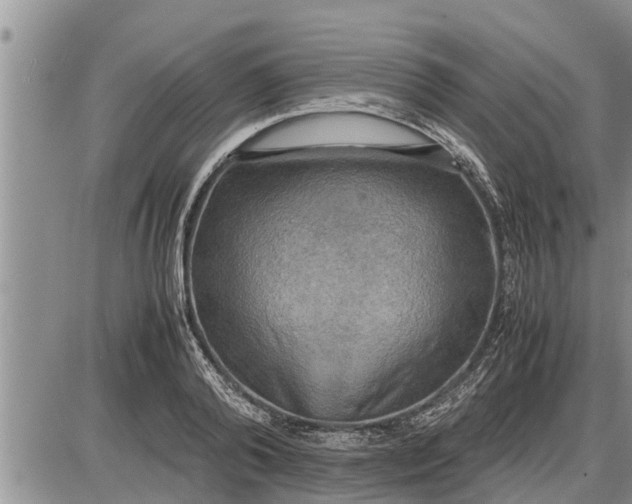 X0000085250792200703231648