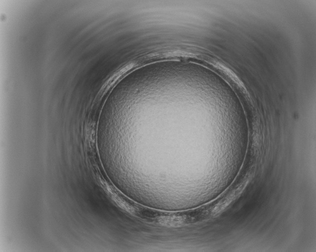 X0000085250793200703231648