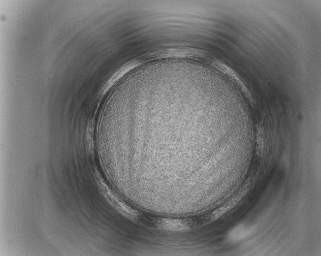 X0000085250794200703231648