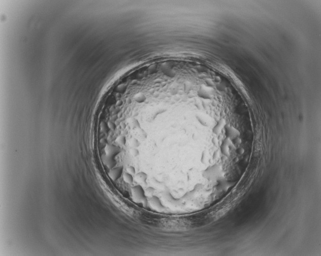 X0000085250795200703231648