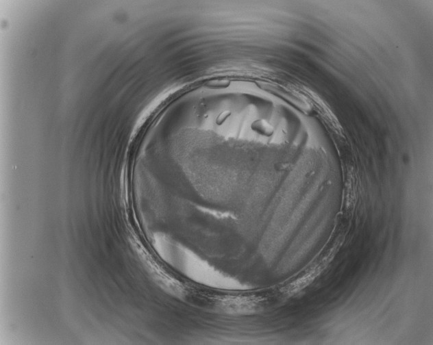 X0000085250796200703231648