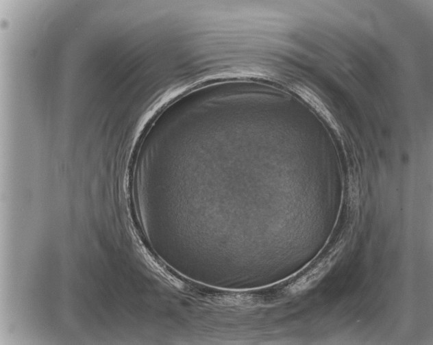 X0000085250797200703231648