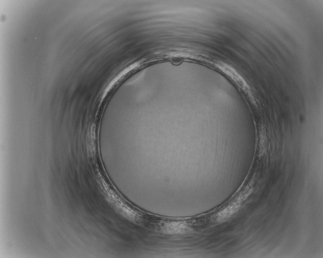 X0000085250798200703231648