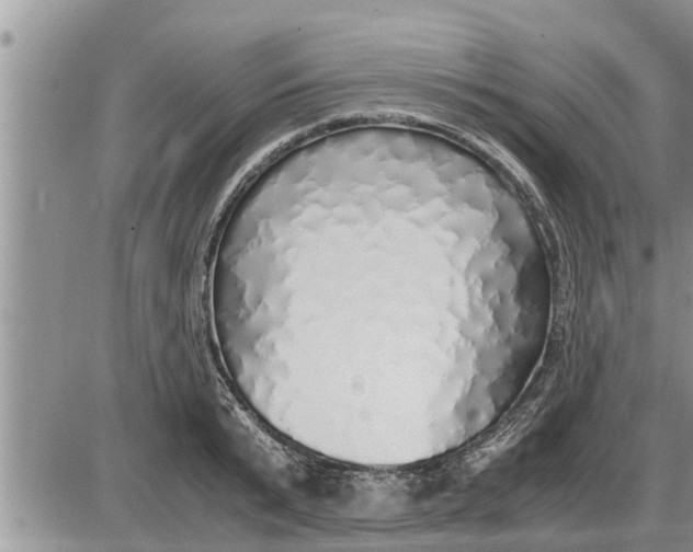 X0000085250799200703231648