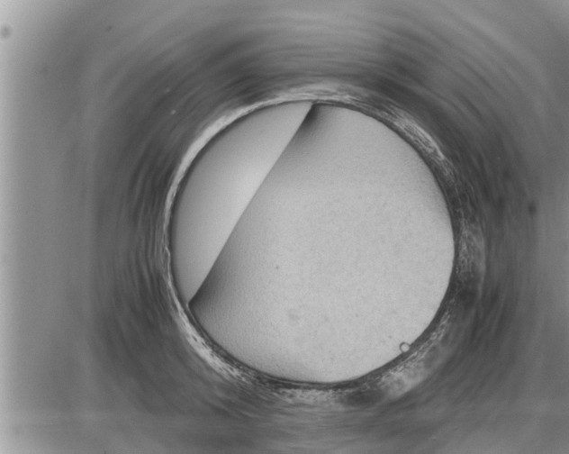 X0000085250800200703231648