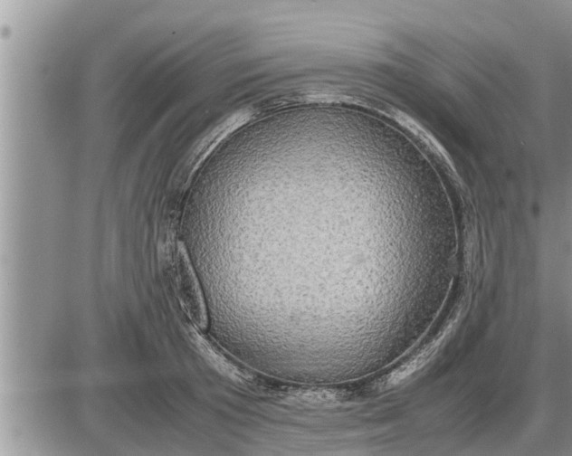 X0000085250801200703231648