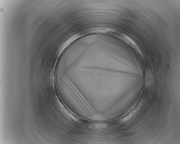 X0000085250802200703231648