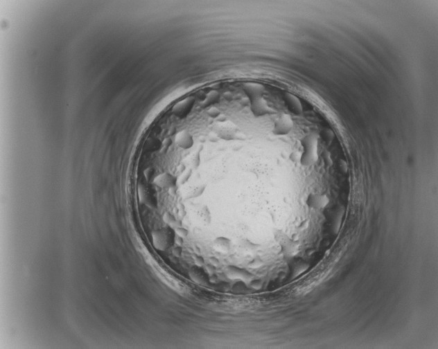 X0000085250803200703231648