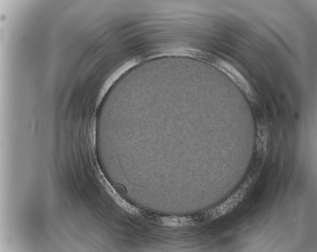 X0000085250804200703231648