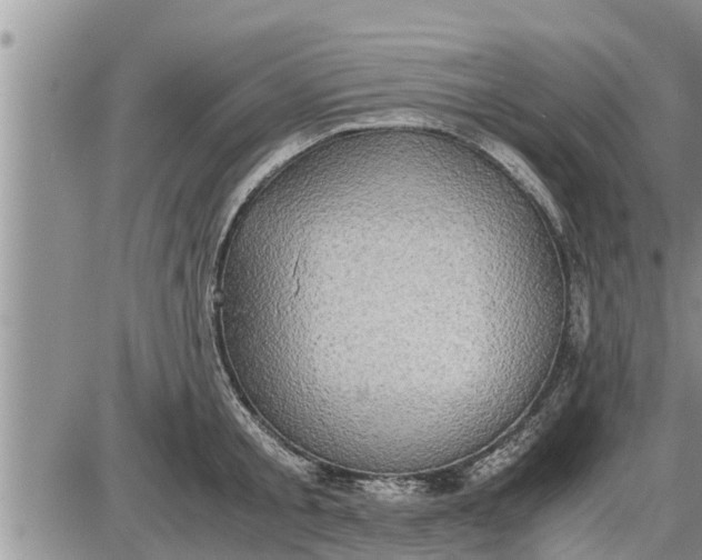 X0000085250805200703231648