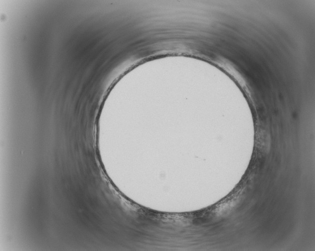 X0000085250807200703231648