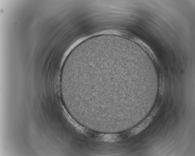 X0000085250808200703231648