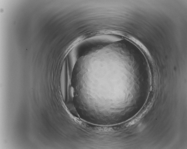 X0000085250809200703231648