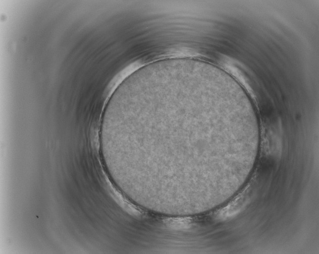 X0000085250810200703231648