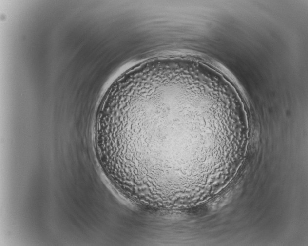 X0000085250811200703231648