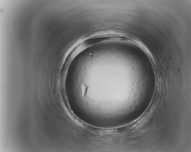 X0000085250813200703231648