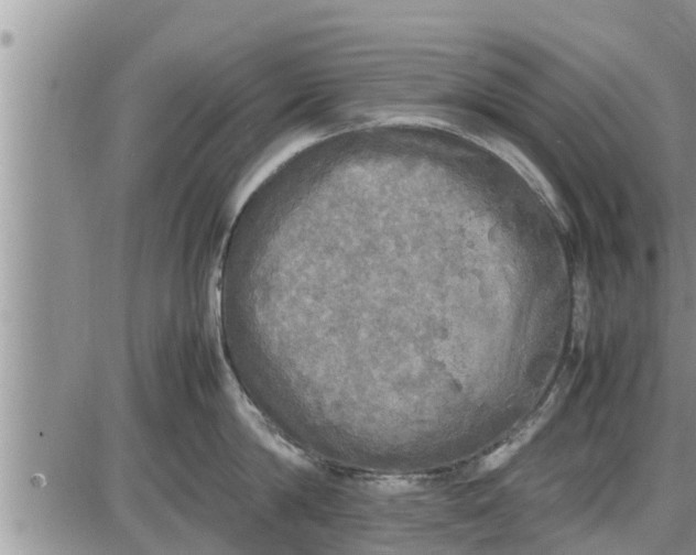 X0000085250814200703231648