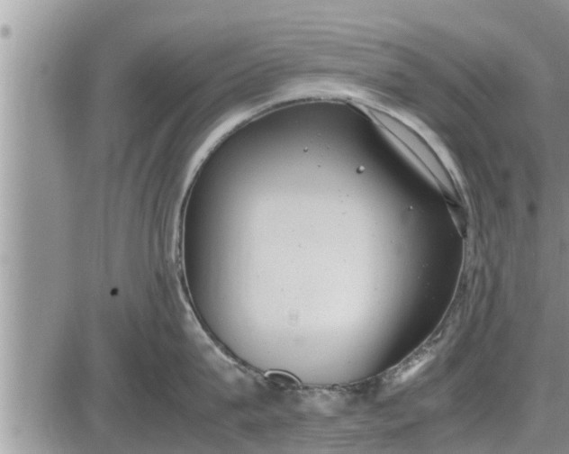 X0000085250815200703231648