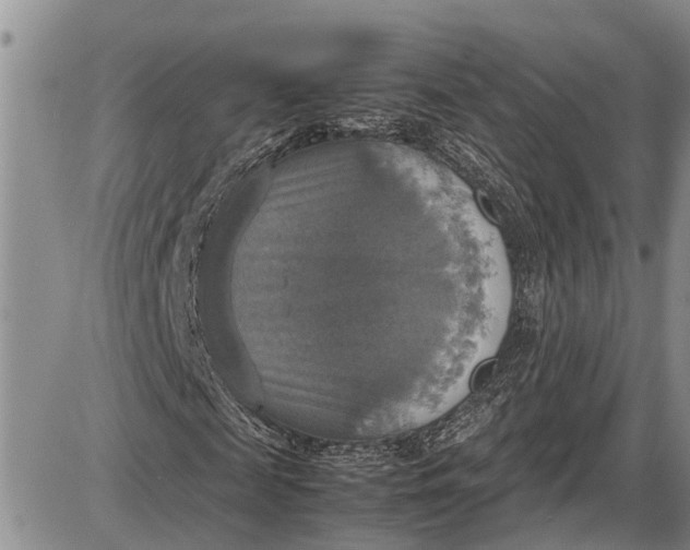 X0000085250817200703231647