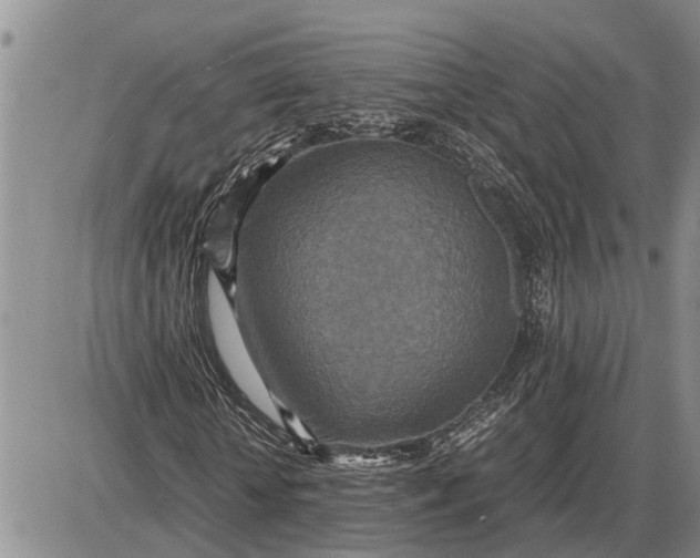 X0000085250818200703231647